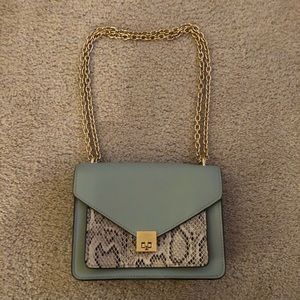 Snakeskin and mint chain strap bag